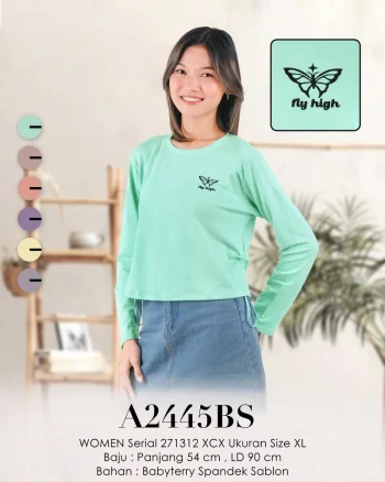 A2445BS 271312 FLY HIGH 38.5