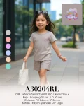 A30204RL-276600-4