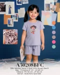 A30208BFC-275042-8