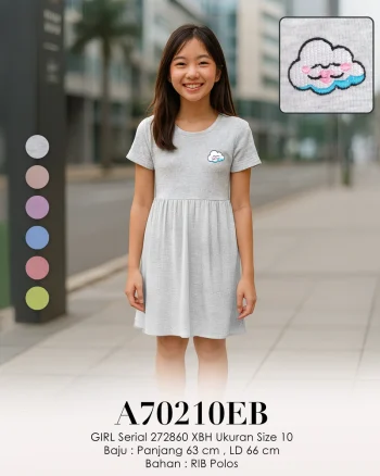 A70210EB 272860 AWAN 28